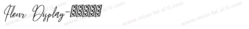 Fleur Display字体转换